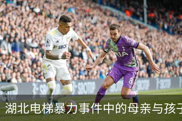 湖北电梯暴力事件中的母亲与孩子：社会封杀的双重代价