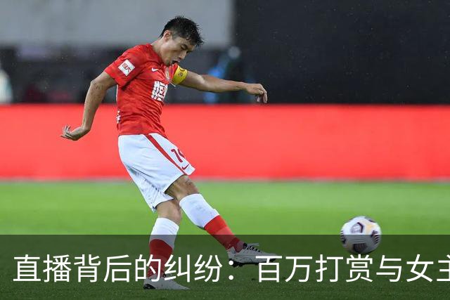 直播背后的纠纷：百万打赏与女主播的隐秘往事